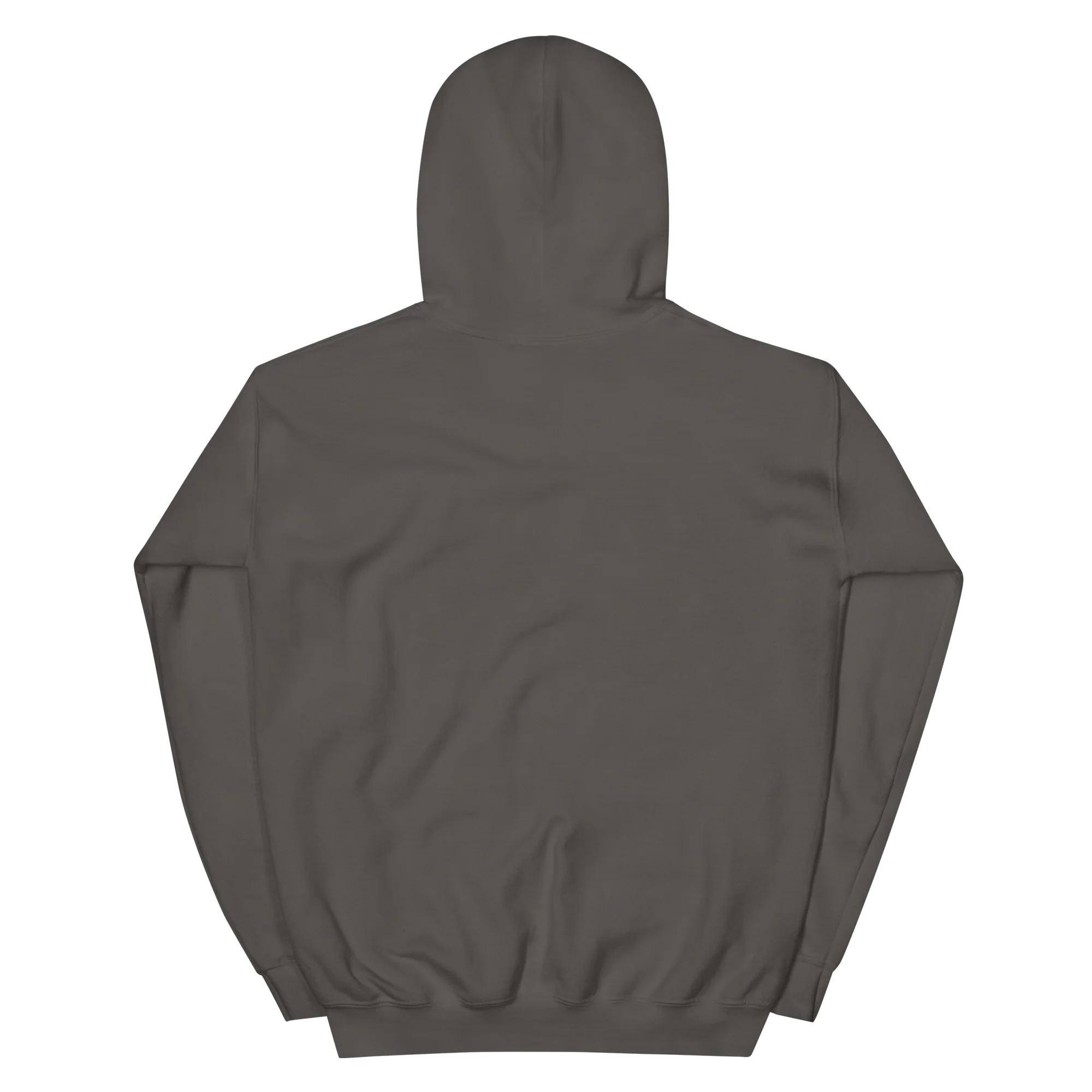 Hashem's Army Adult Hoodie - Image 16